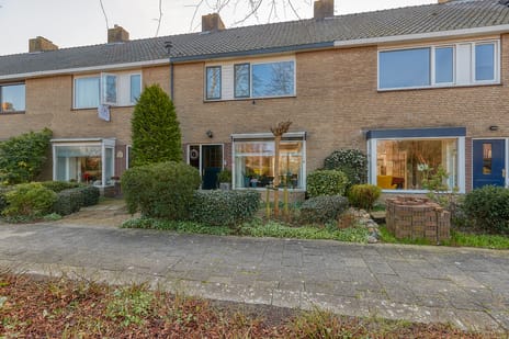 Sternstraat thumbnail