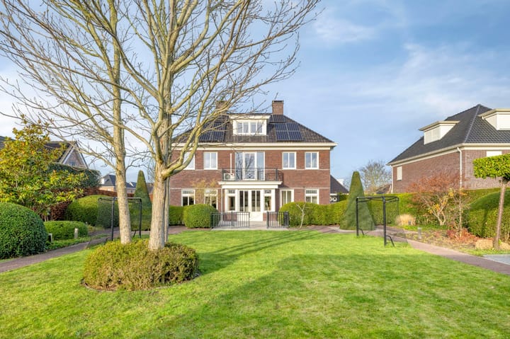 Photo 4 of Elsanta 14