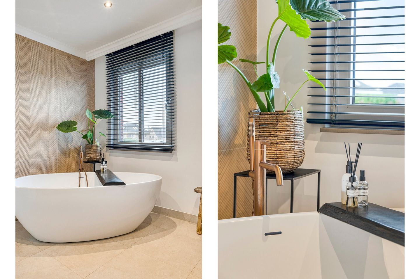 Foto 34 van Elsanta 14