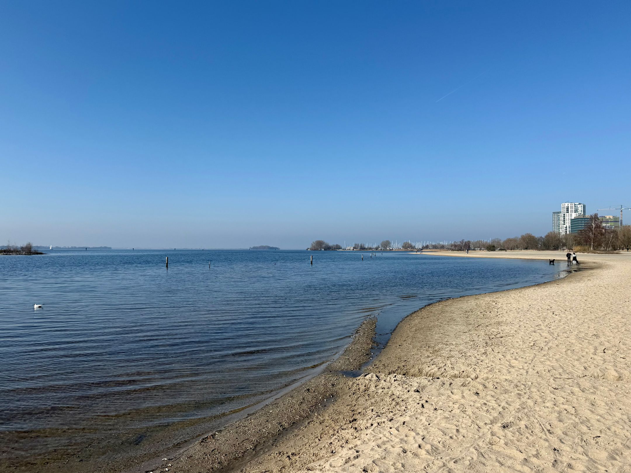 Foto 33 van Aresstraat 13