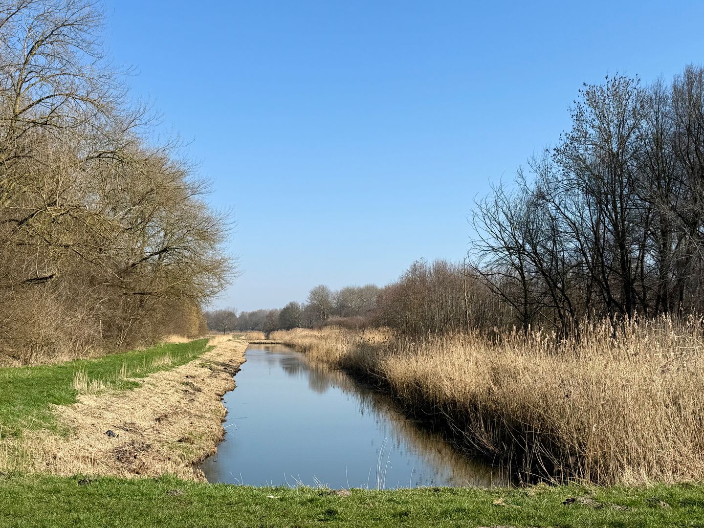 Foto 34 van Aresstraat 13