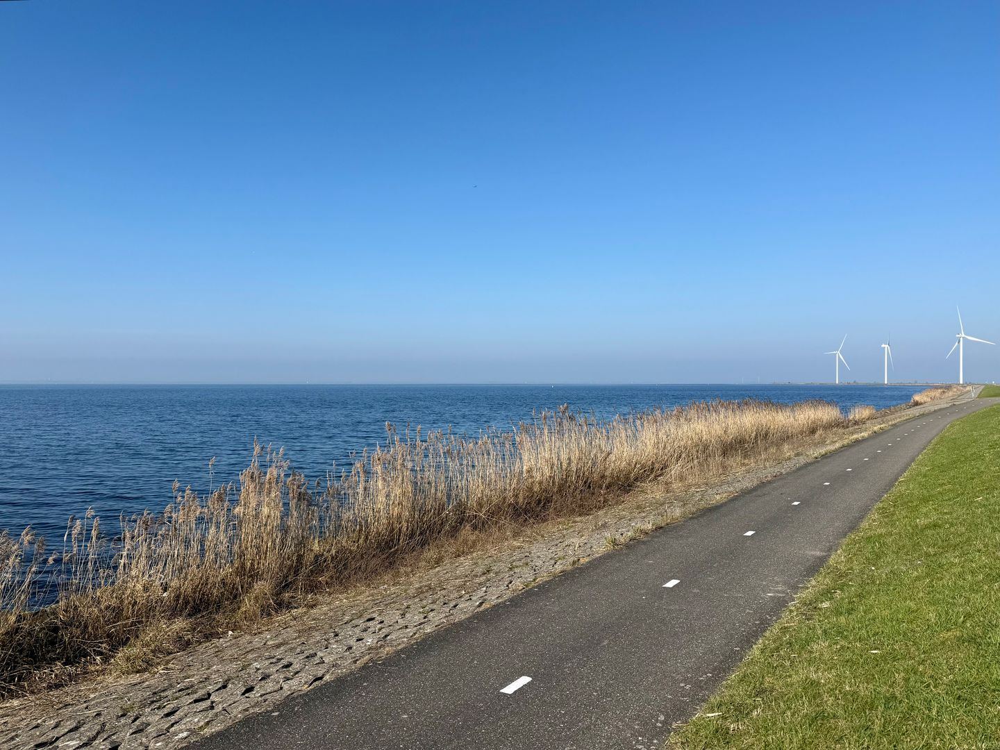 Foto 35 van Aresstraat 13