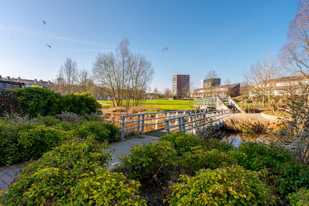 Photo 37 of Callenburghstraat 3