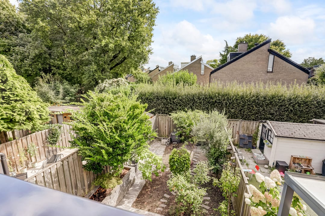 Photo 11 of Tolhuis 2020