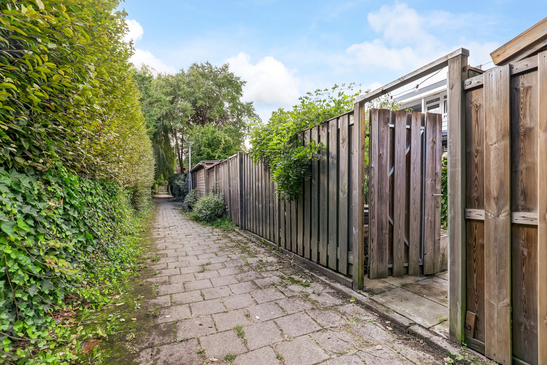 Photo 18 of Tolhuis 2020