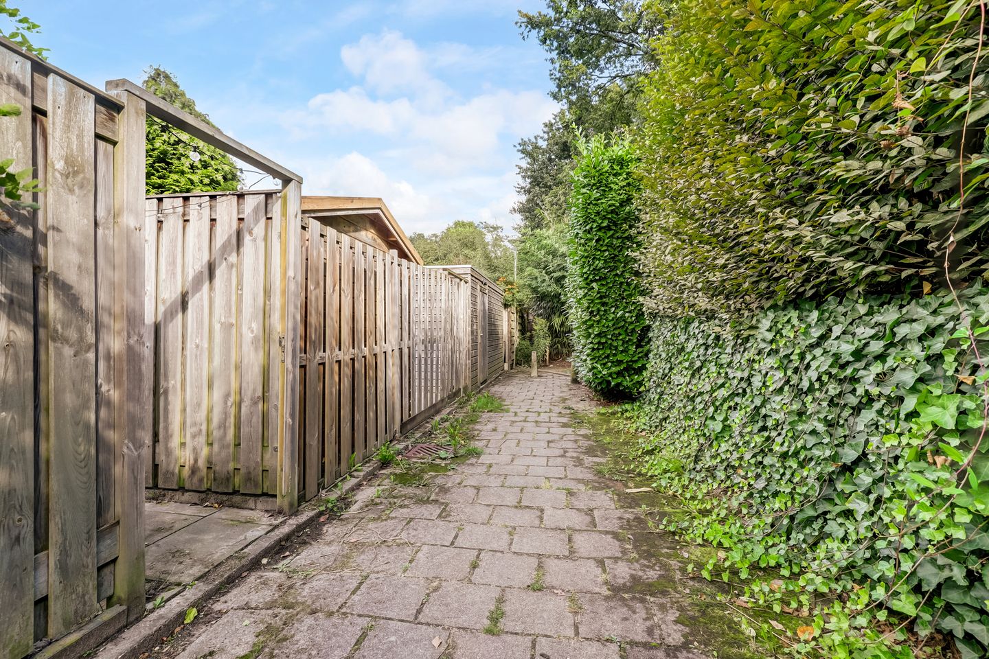 Photo 19 of Tolhuis 2020