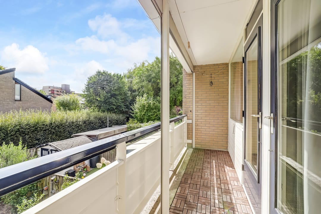 Photo 37 of Tolhuis 2020