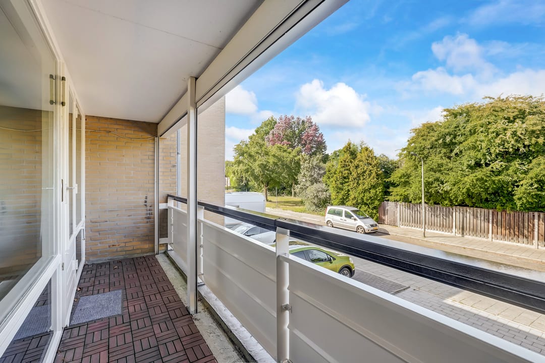 Photo 38 of Tolhuis 2020