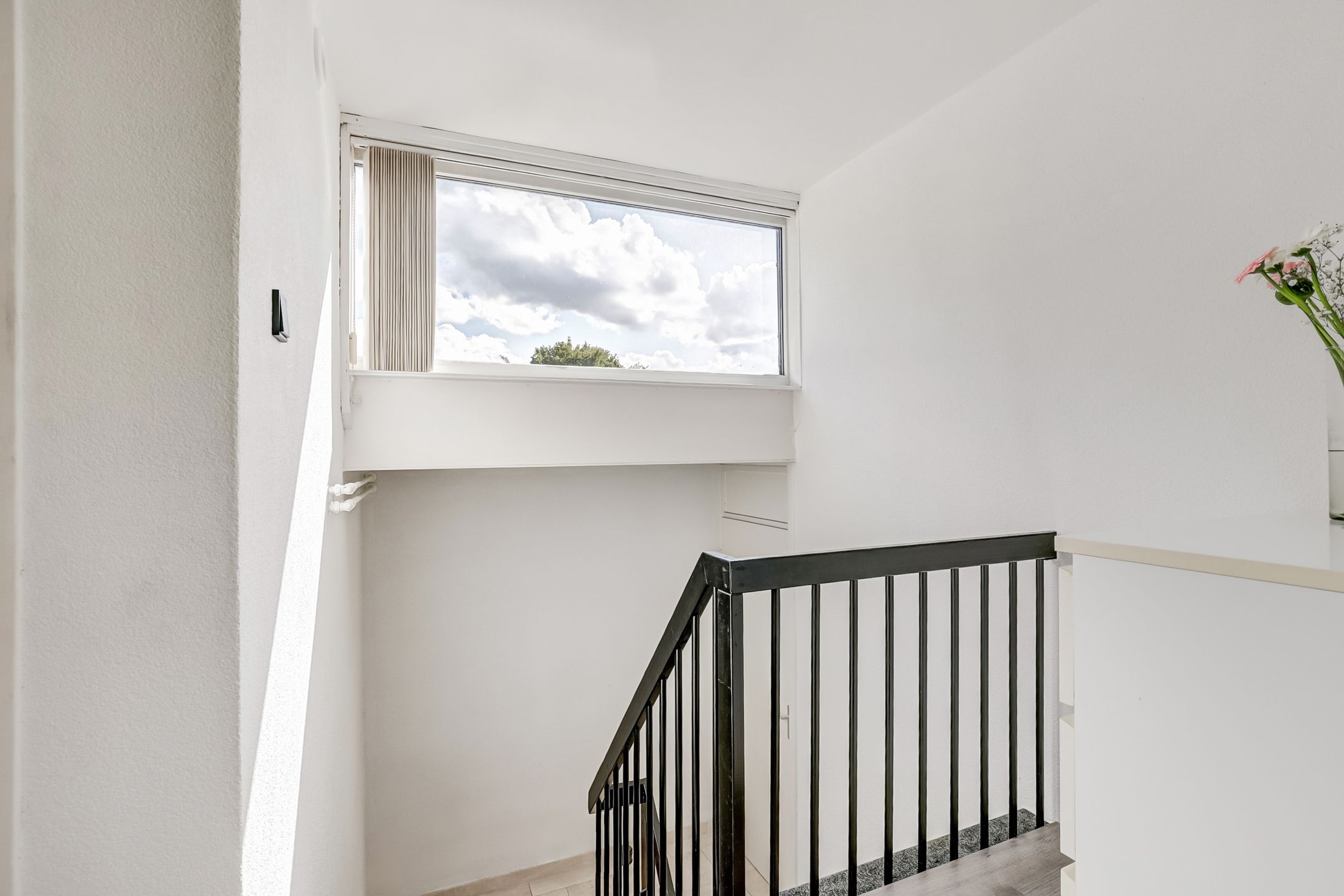 Photo 39 of Tolhuis 2020