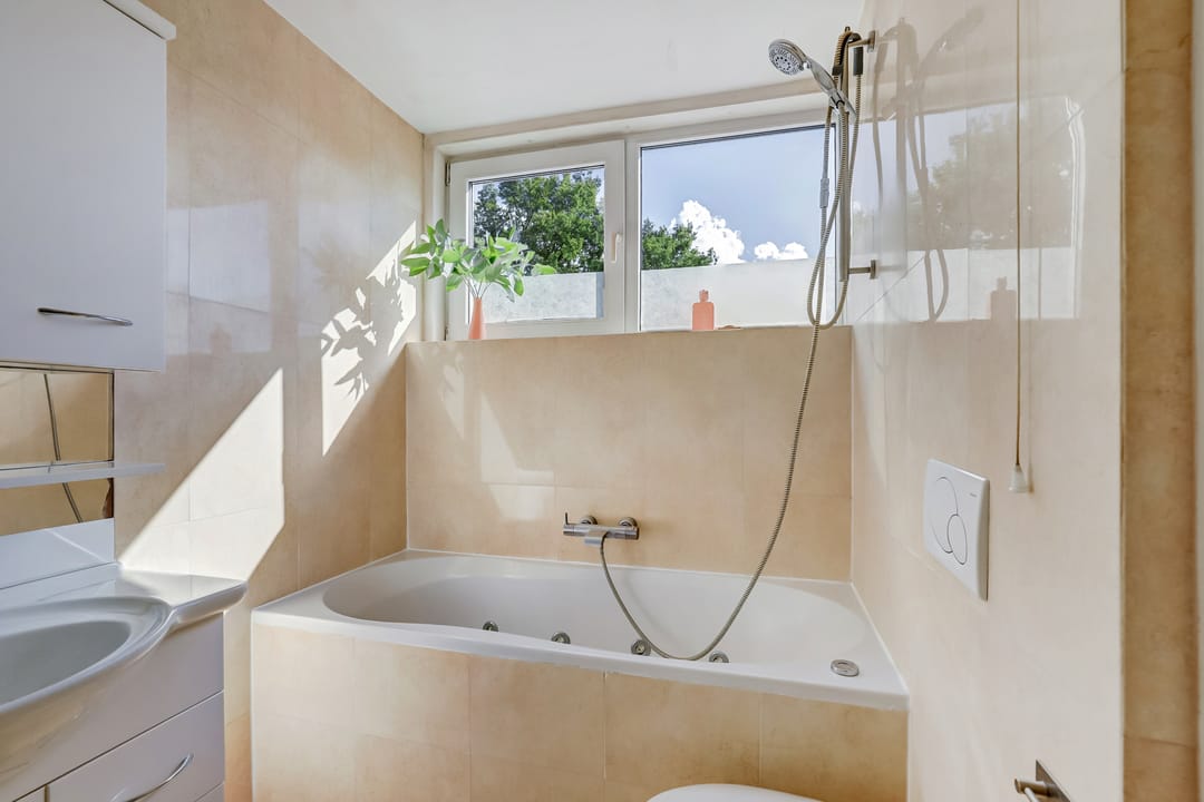 Photo 46 of Tolhuis 2020