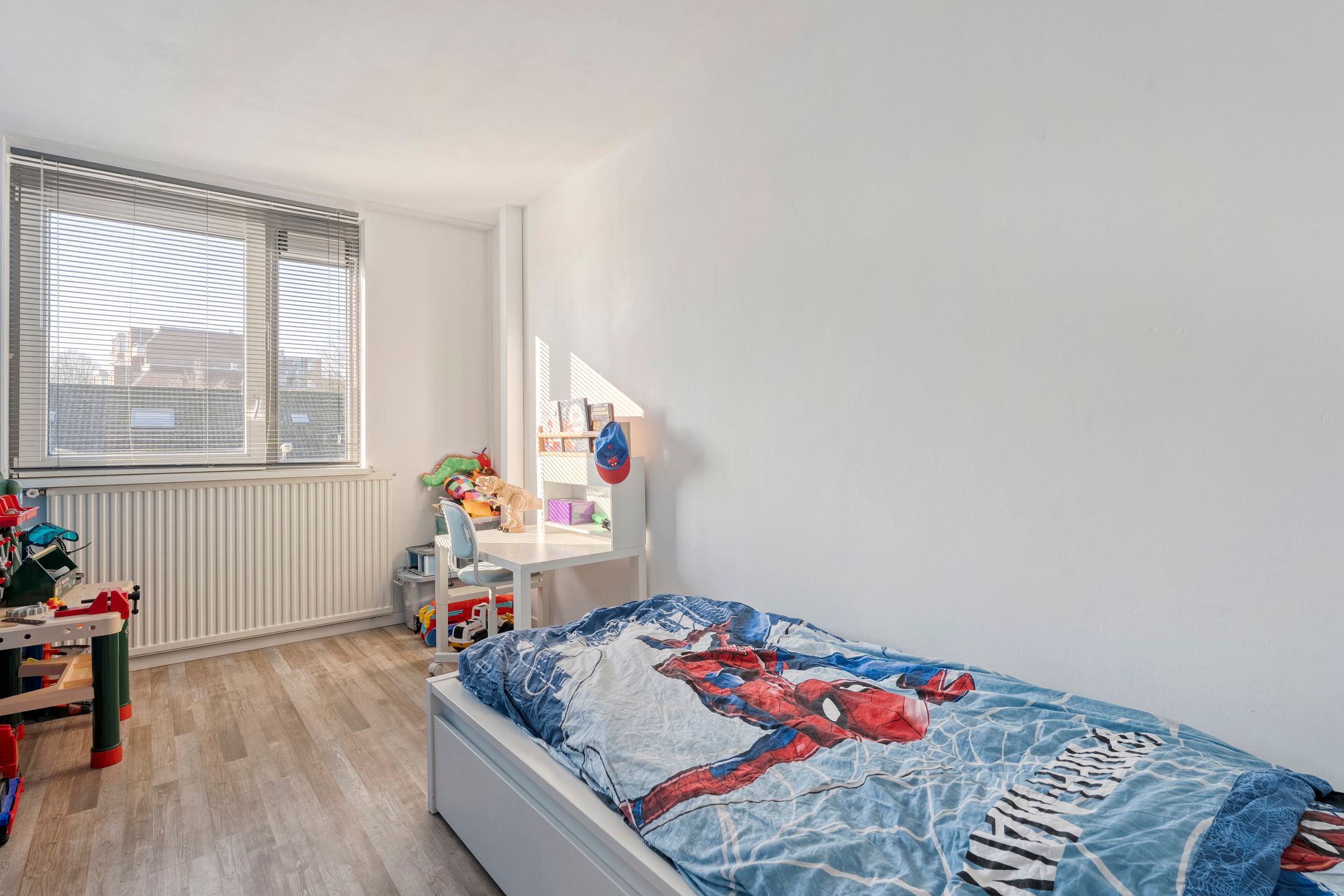 Photo 18 of Boerhaavehof 31