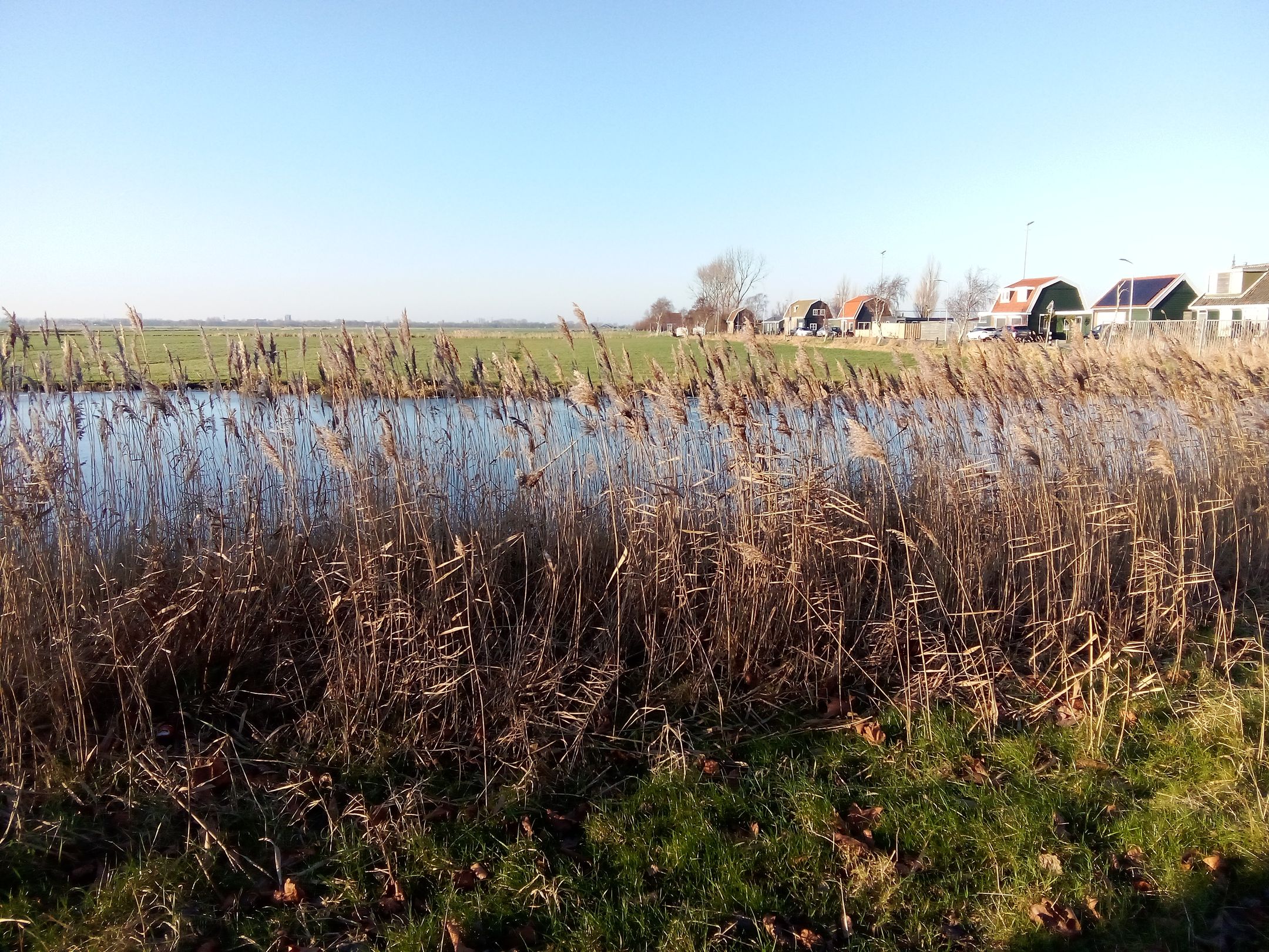 Photo 6 of Bestevaerstraat 61