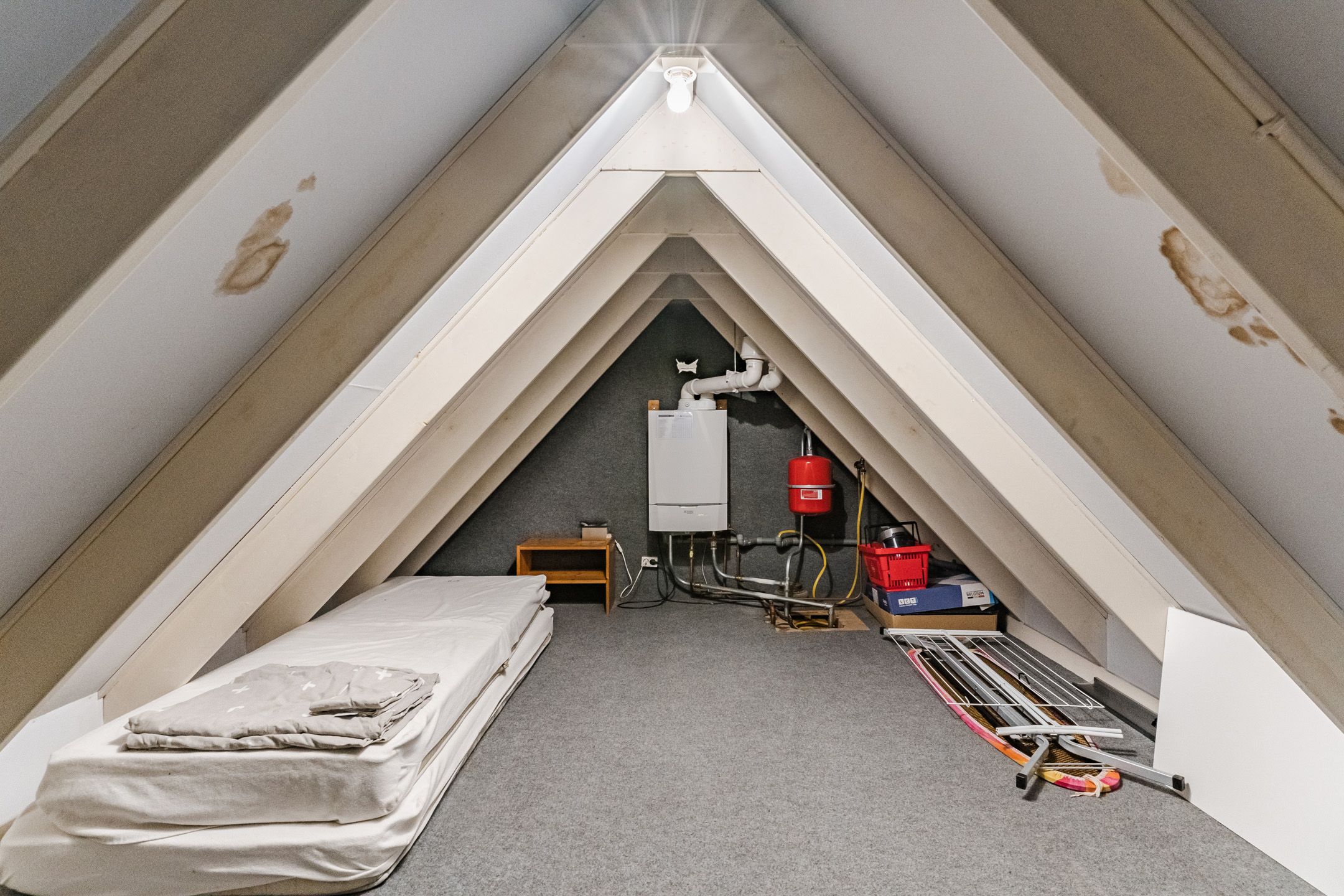 Foto 42 van Willibrorduslaan 10-F