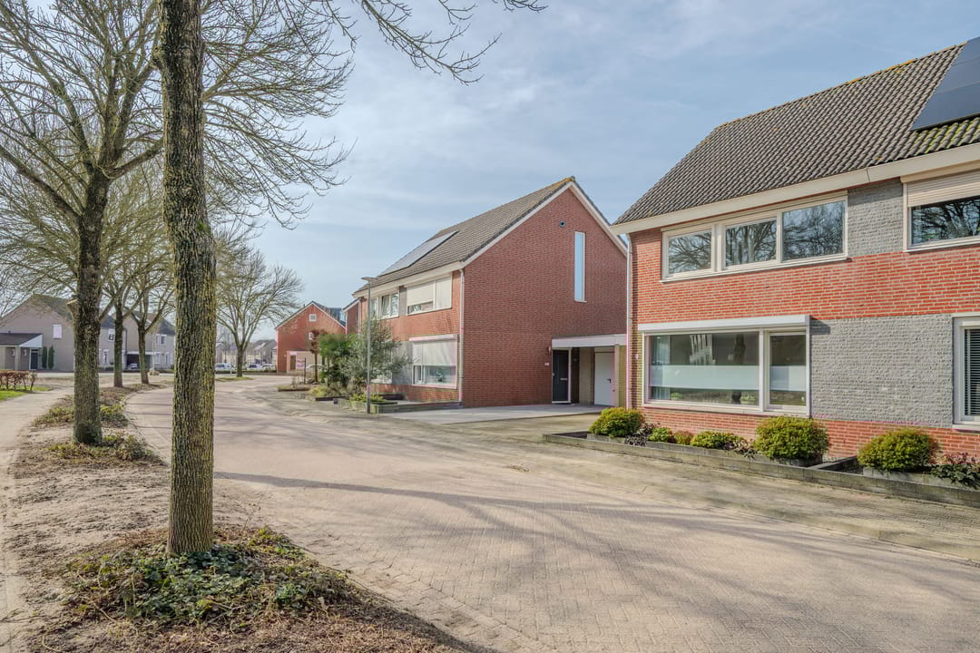 Photo 41 of Zilverschoon 9