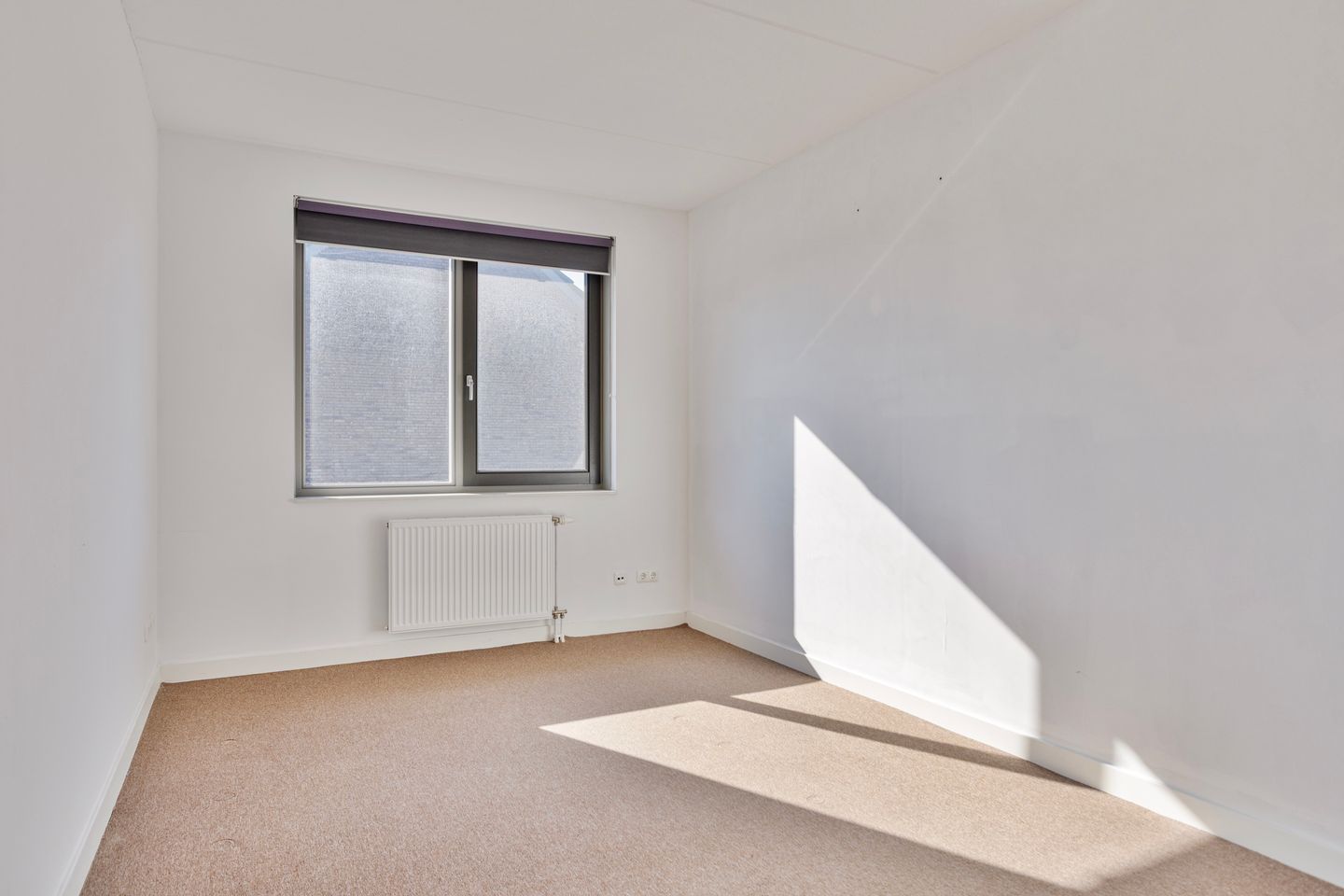 Foto 10 van Laan der Middeleeuwen 39