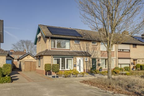 Jan Steenstraat thumbnail