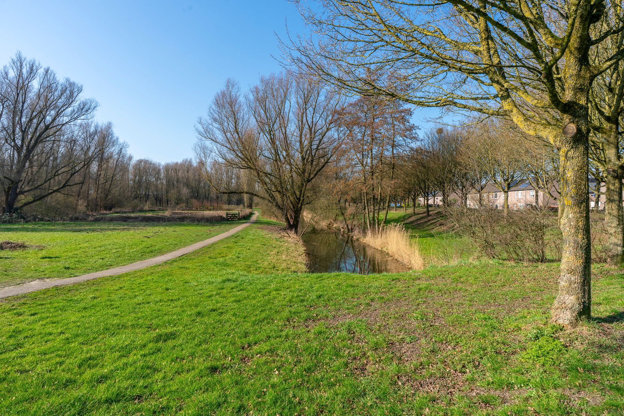 Foto 39 van Filipijnen 131