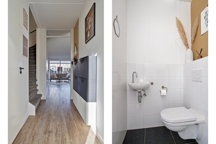 Foto 2 van Sterhyacint 13