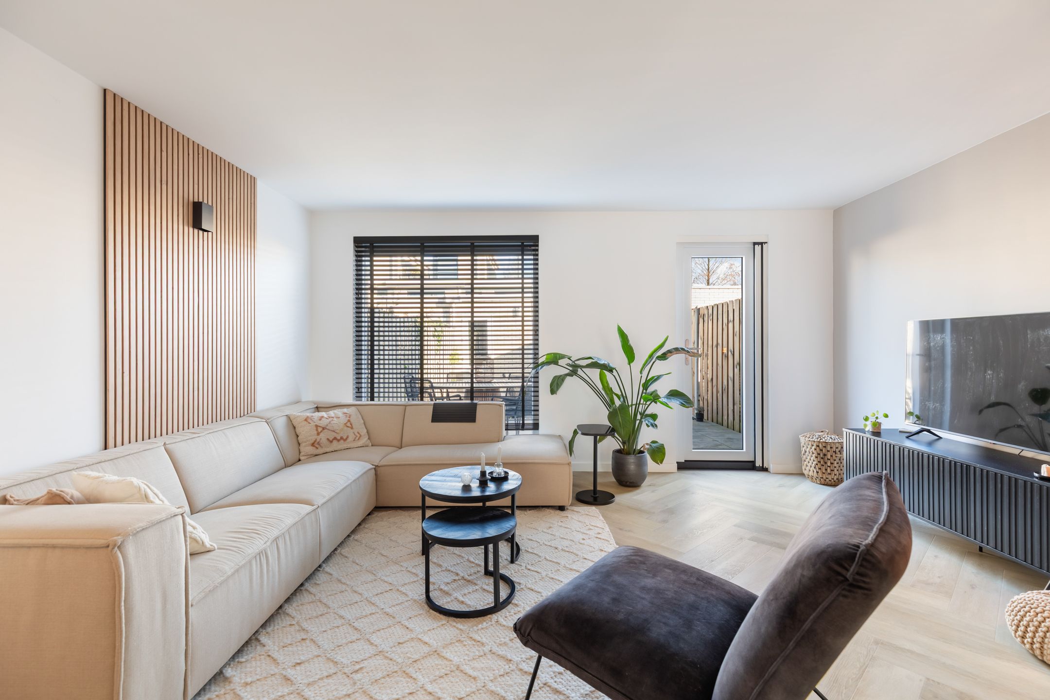 Foto 12 van Iroko 267