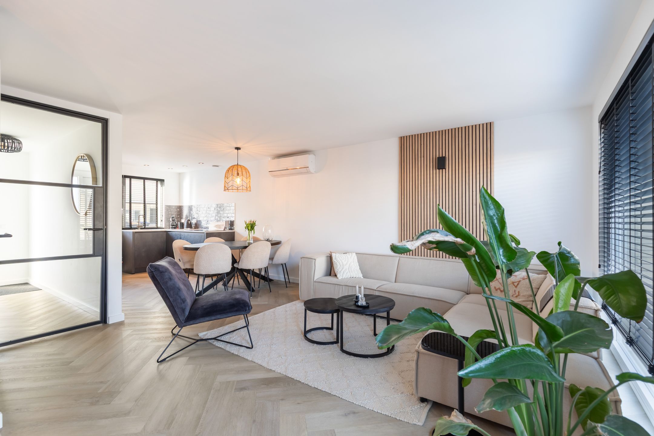 Foto 15 van Iroko 267