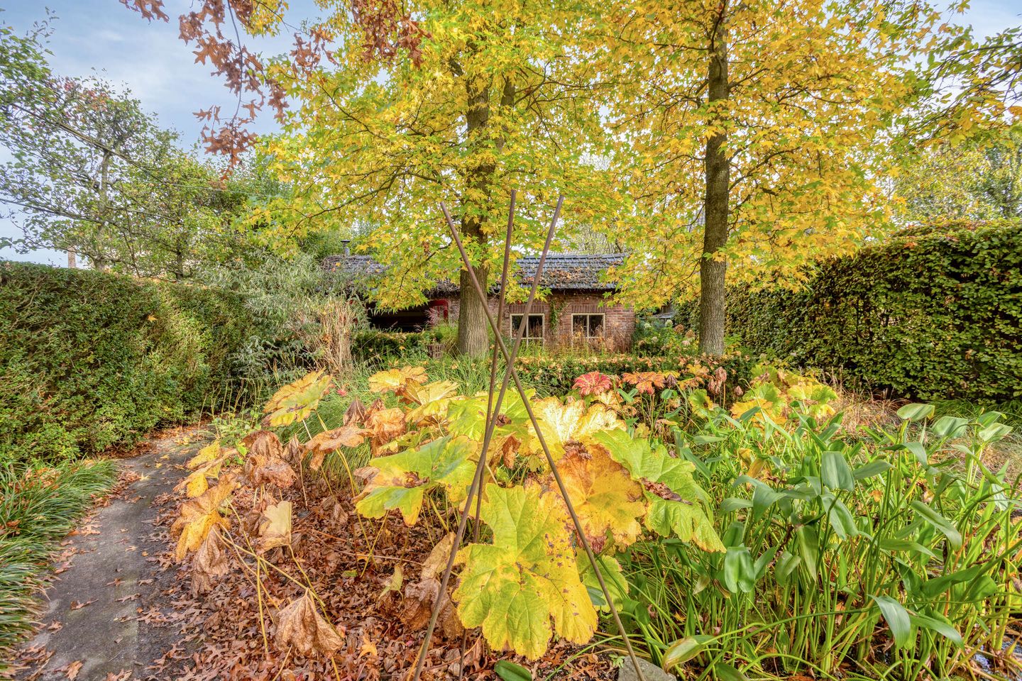 Foto 34 van Dr. van Beurdenstraat 3