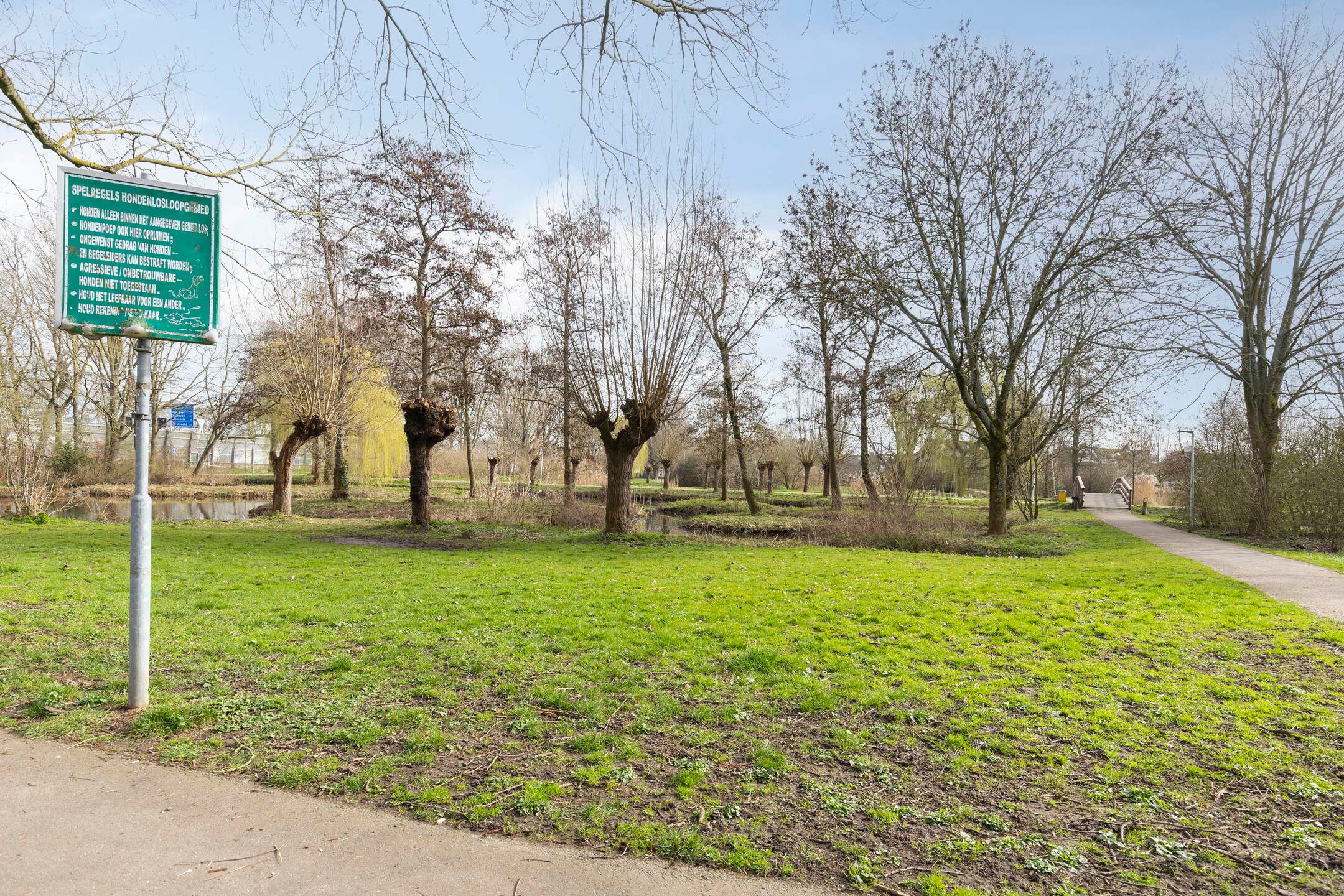 Photo 36 of Reinenweer 10