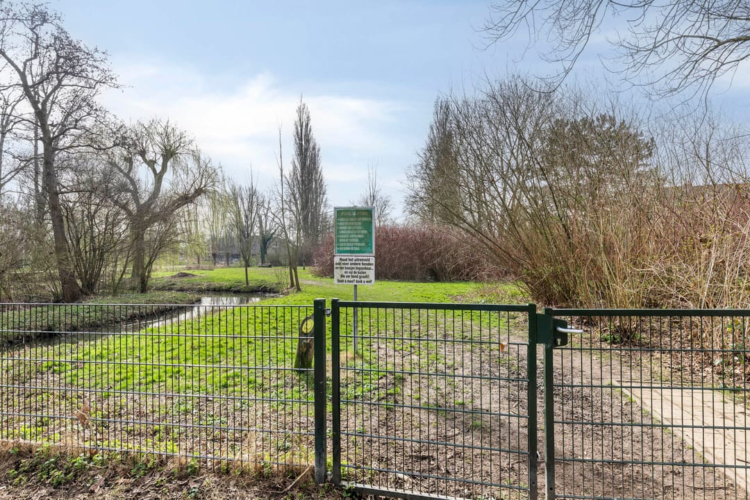 Photo 37 of Reinenweer 10