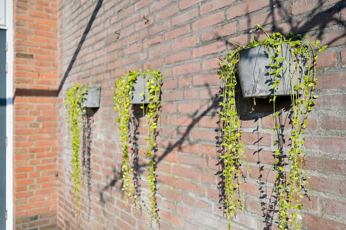 Foto 34 van Beatrixstraat 44