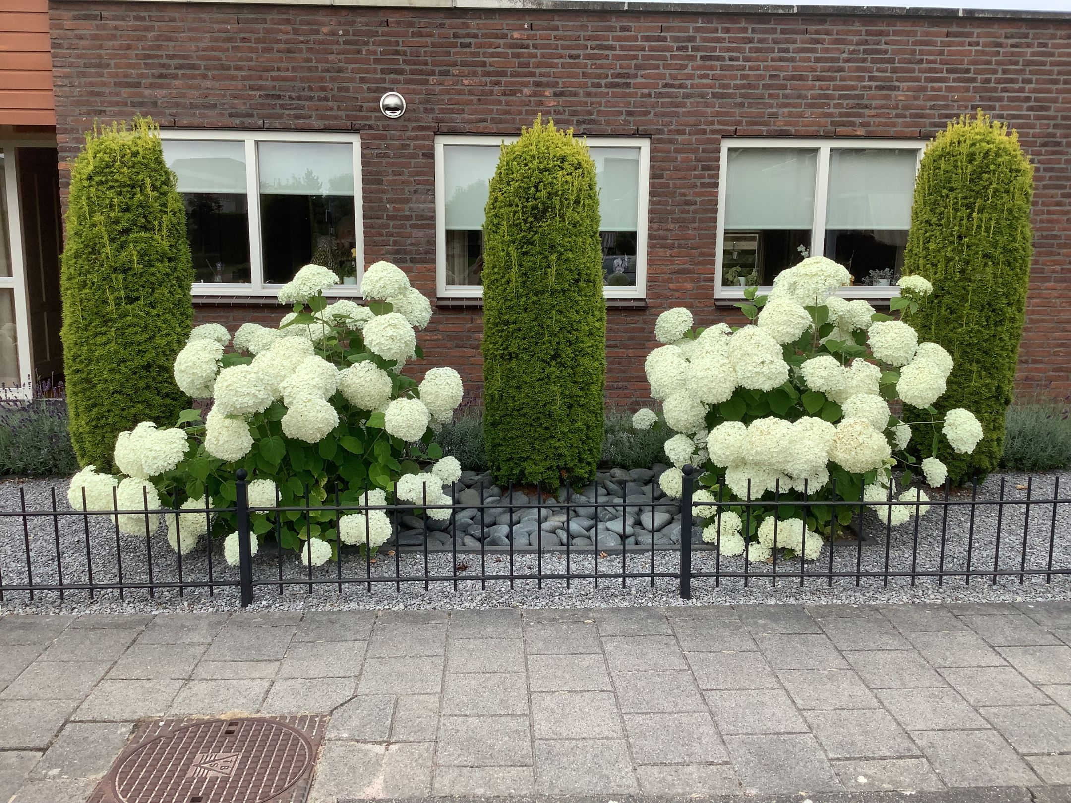 Photo 30 of Jaagvelden 84