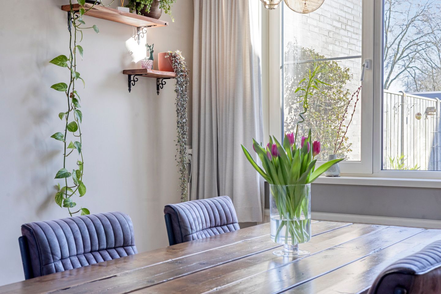 Photo 14 of de Toog 15