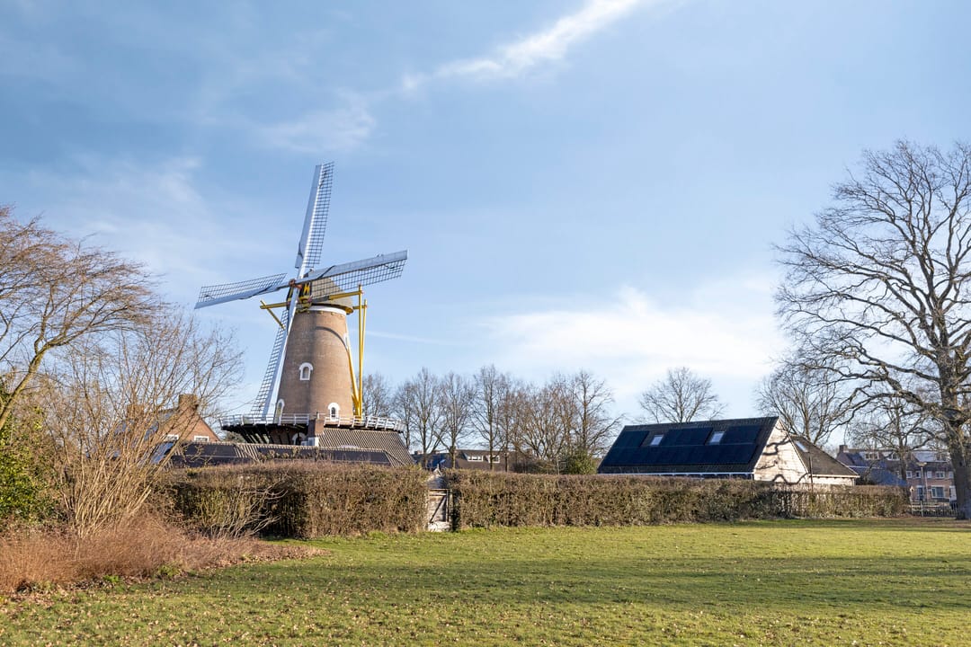 Photo 38 of de Toog 15