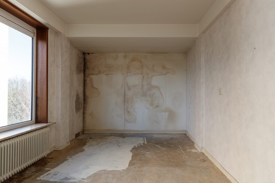 Foto 8 van Karel Doormanlaan 108