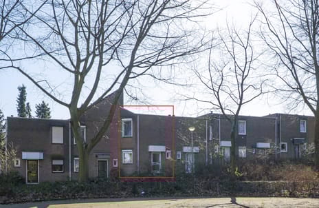 undefined main image