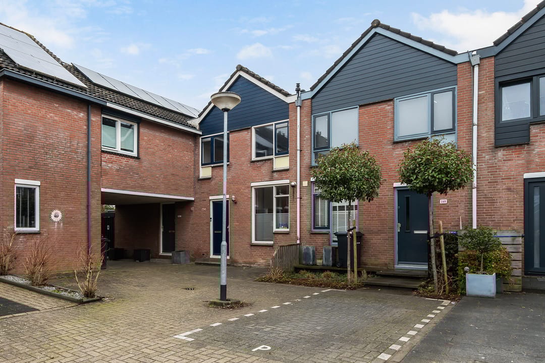 Photo 28 of Slangenburg 250