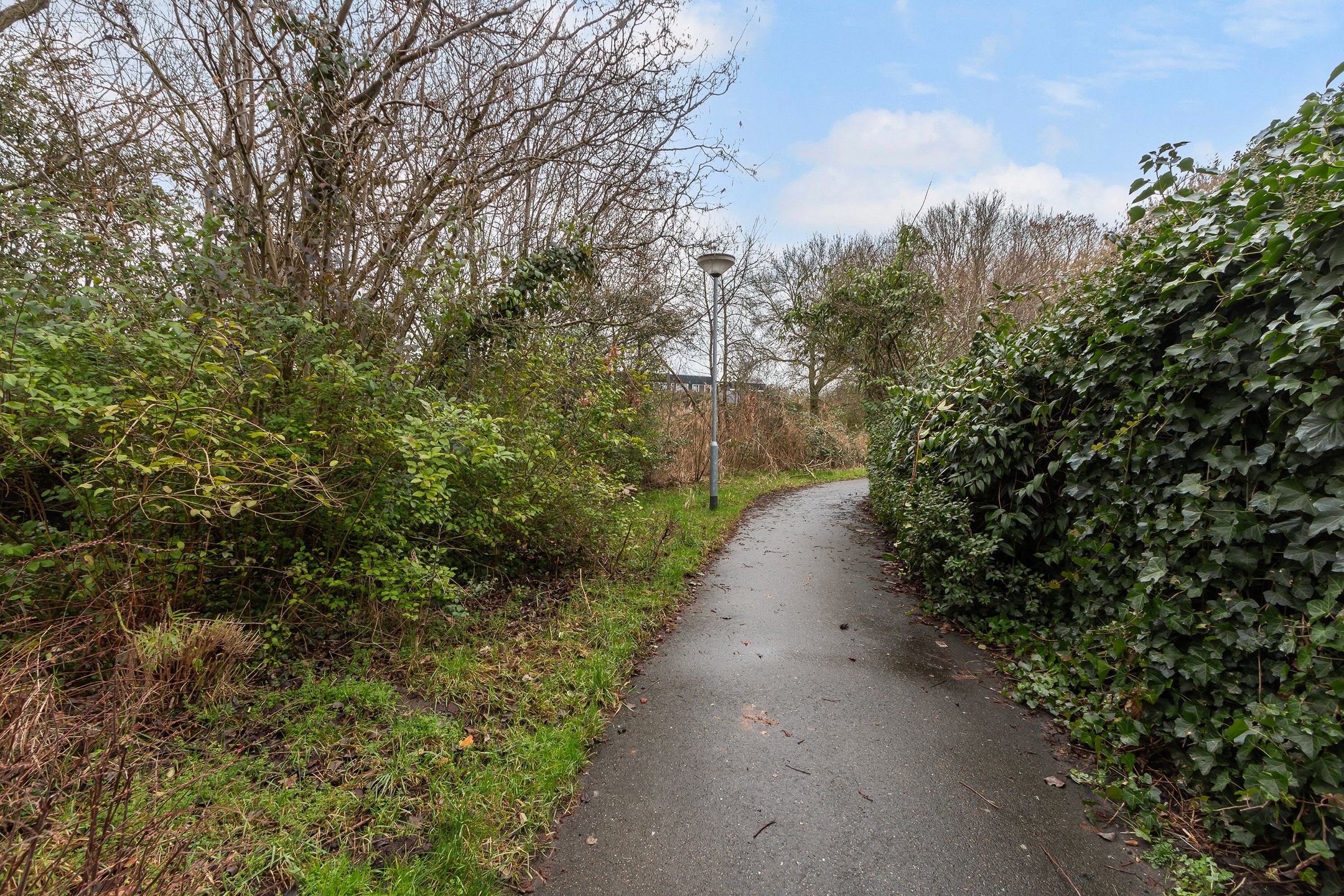 Photo 30 of Slangenburg 250