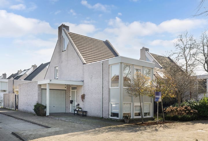 Roerdomp 24 main image