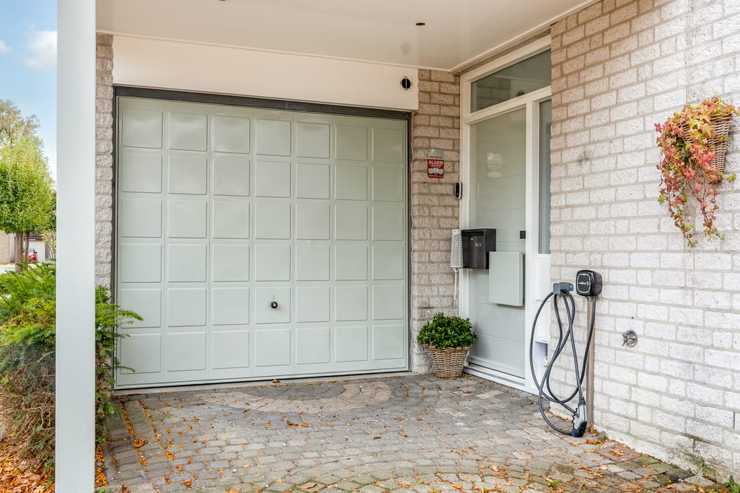 Foto 8 van Roerdomp 24