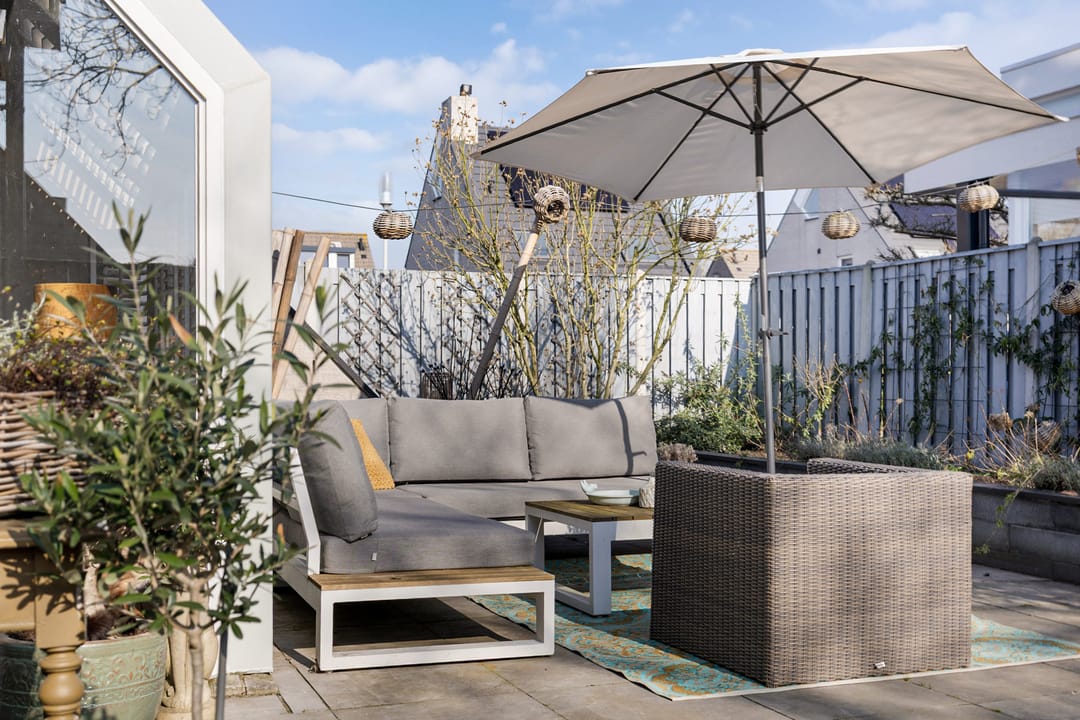 Foto 41 van Roerdomp 24