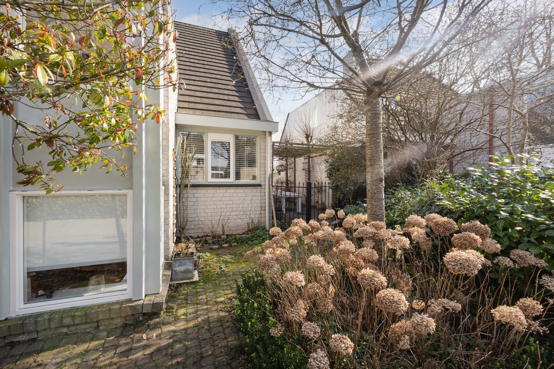 Foto 47 van Roerdomp 24