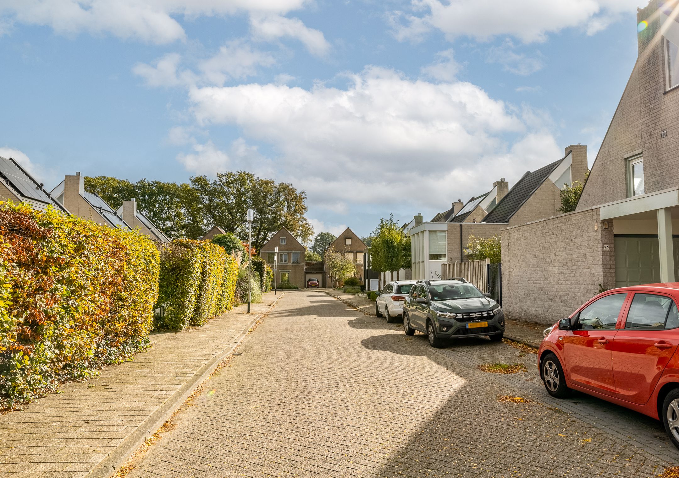 Foto 48 van Roerdomp 24