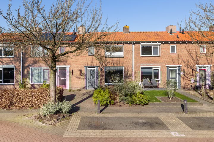 Ribesstraat 14
