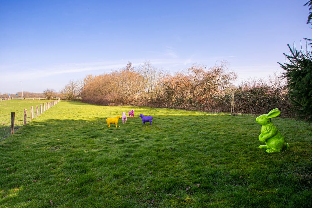 Foto 8 van Groenewoudseweg 11