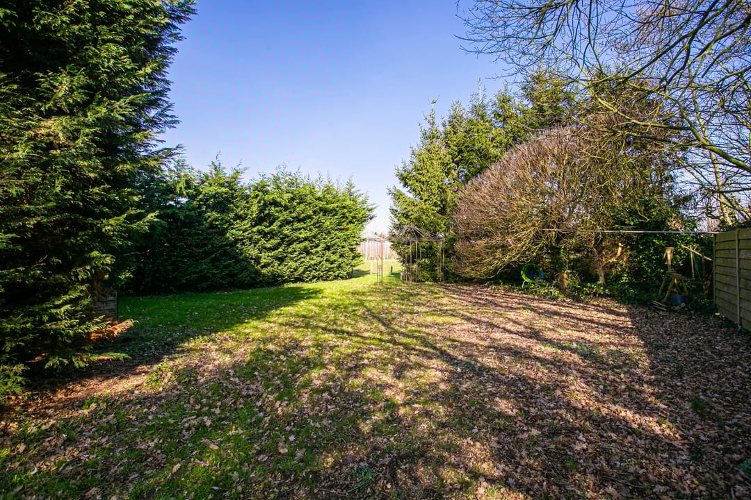 Foto 58 van Groenewoudseweg 11