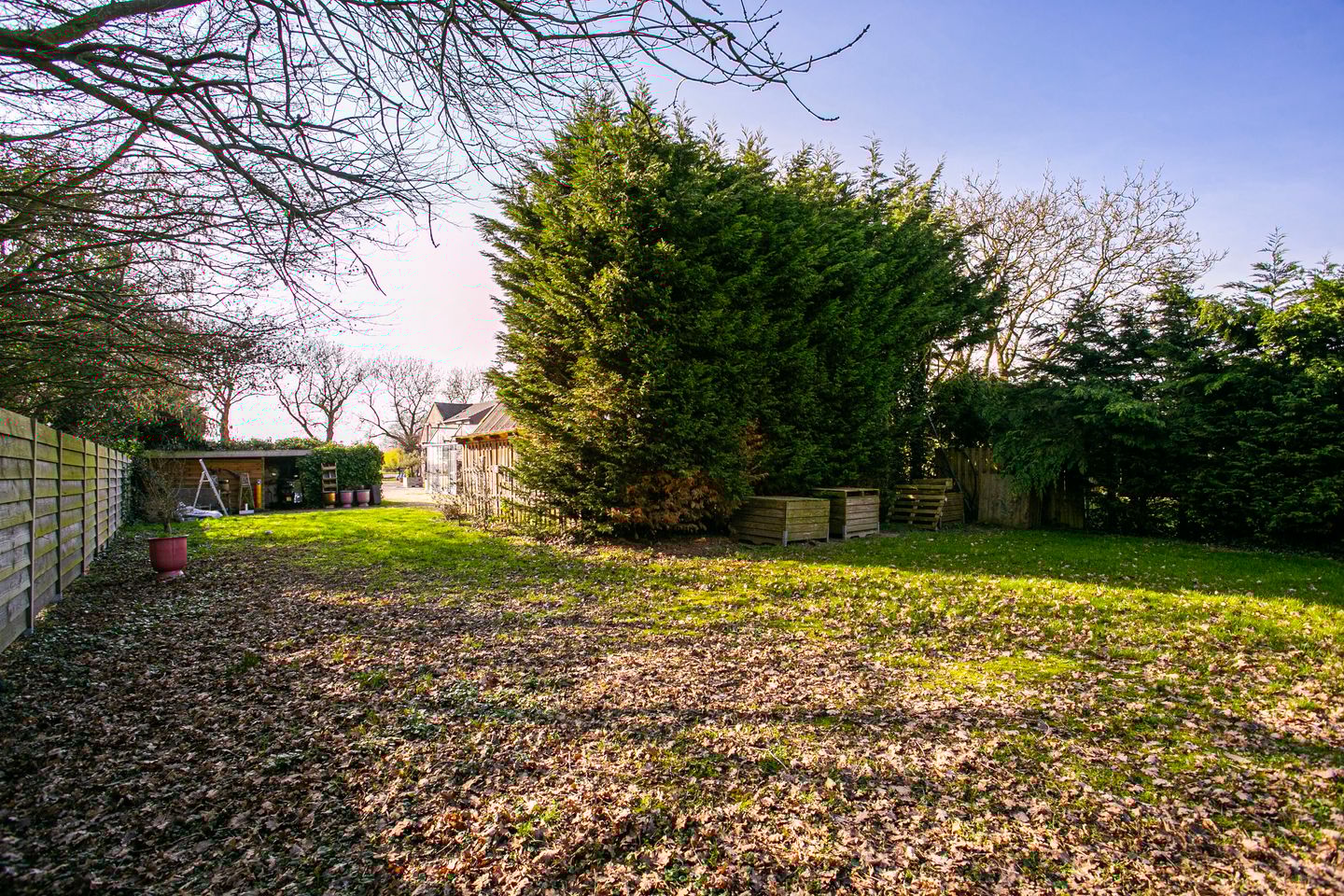 Foto 59 van Groenewoudseweg 11