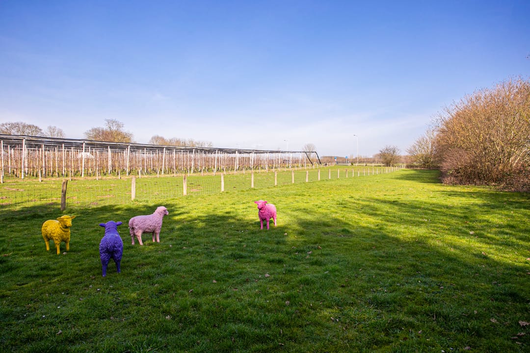 Foto 61 van Groenewoudseweg 11