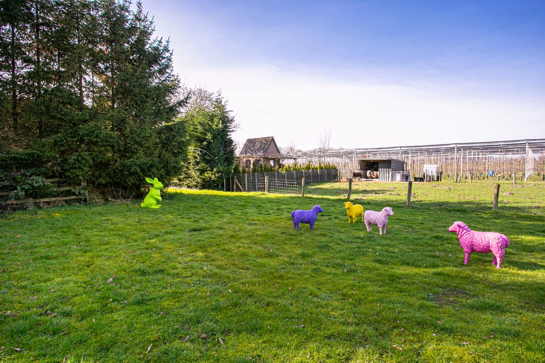 Foto 62 van Groenewoudseweg 11