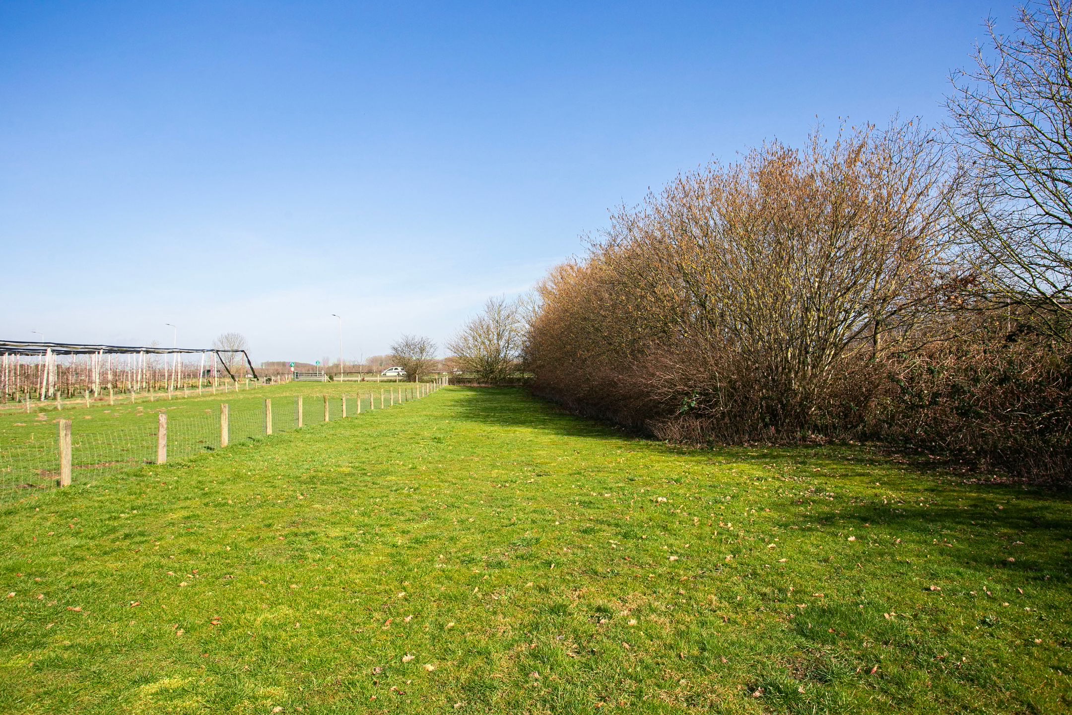 Foto 63 van Groenewoudseweg 11