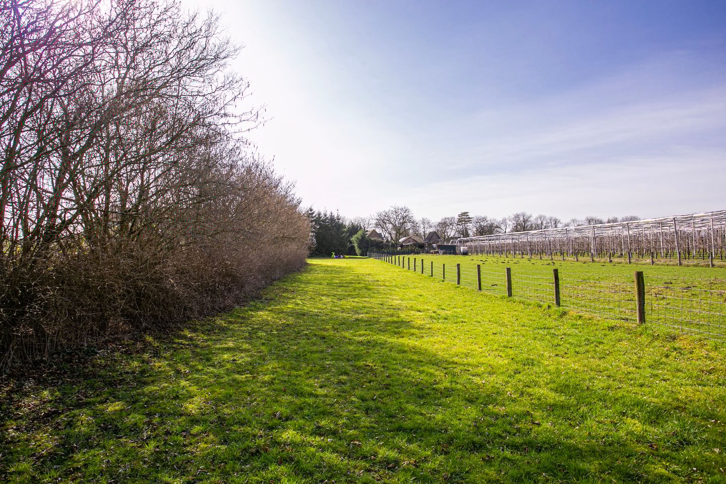 Foto 64 van Groenewoudseweg 11