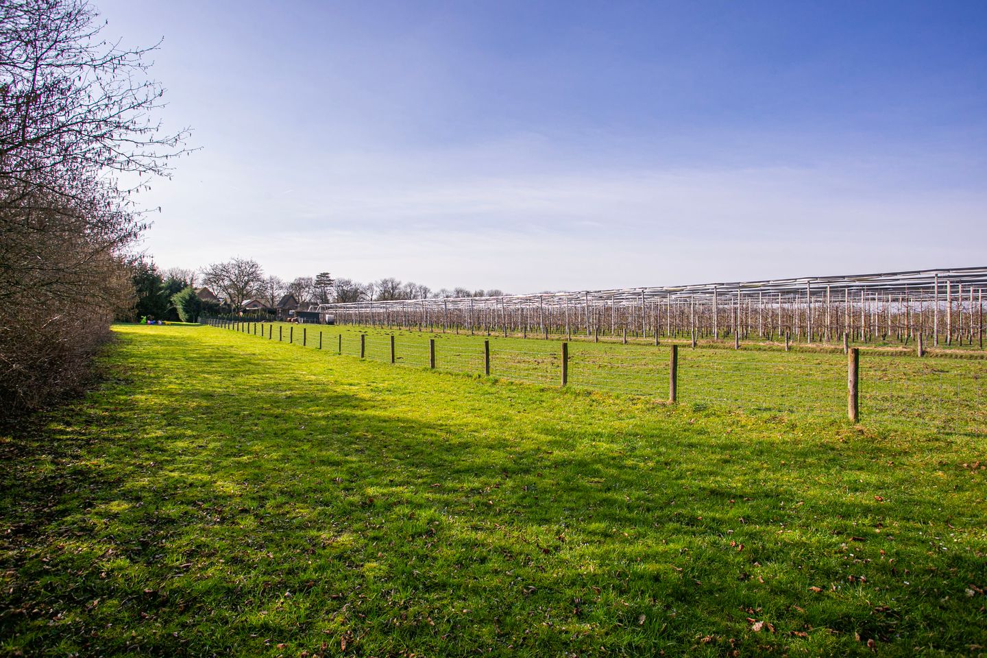 Foto 65 van Groenewoudseweg 11