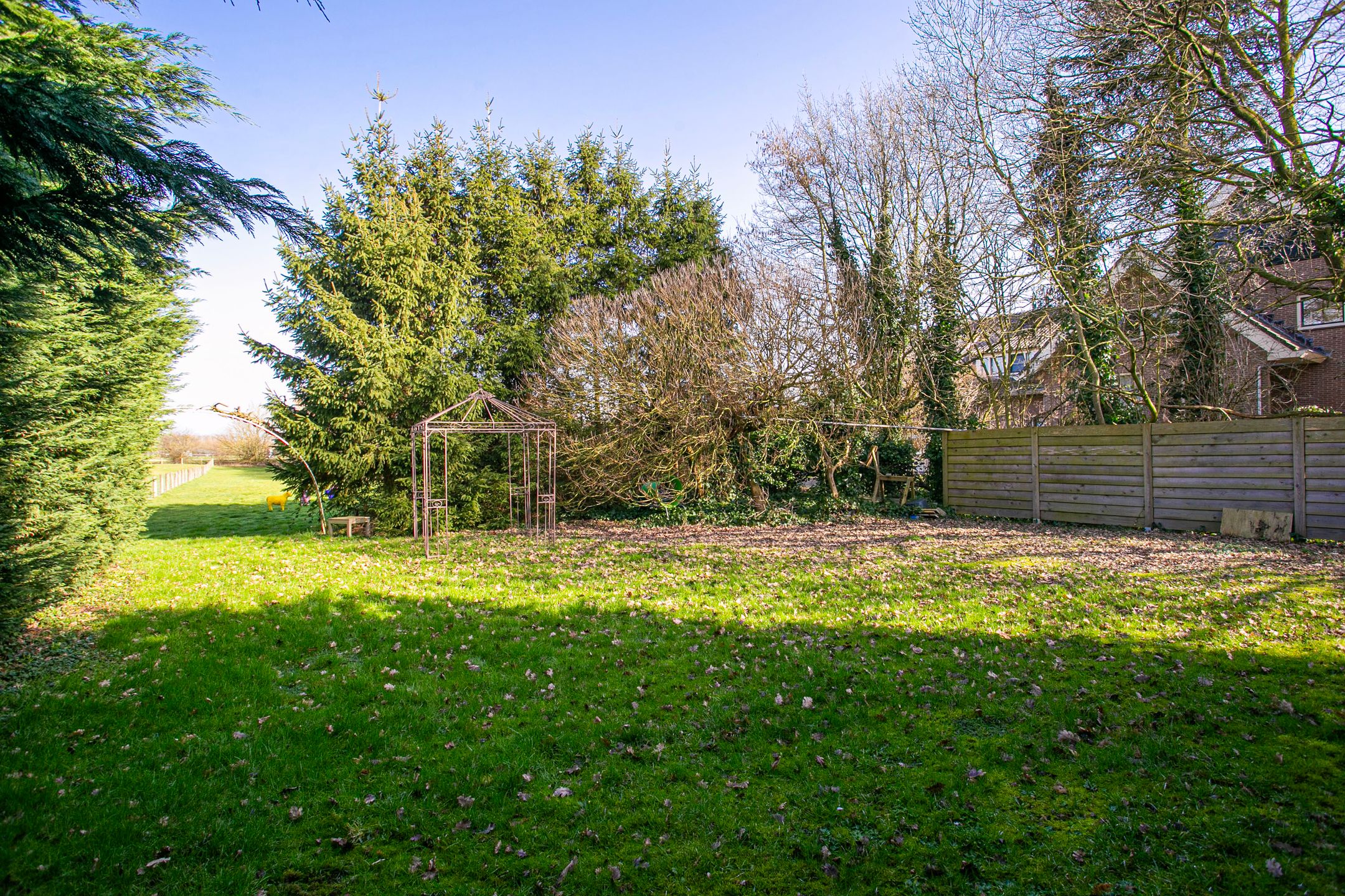 Foto 60 van Groenewoudseweg 11